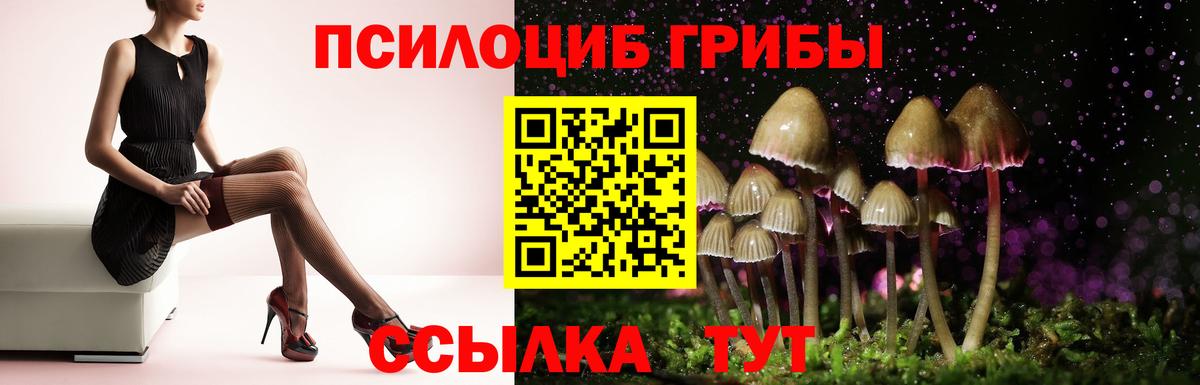 Галлюциногенные грибы ЛСД Кстово