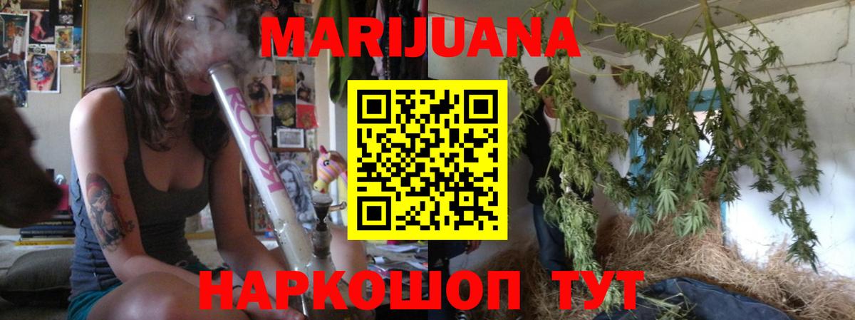 Конопля ГИДРОПОН  Бошки Шишки Amnesia  Вход с VPN  Кстово 
